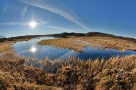 Subscribe to receive updates, access to exclusive deals, and more. Tydal Gebirge In Norwegen Foto Bild Landschaft Ruckkehr Der Natur Herbst Bilder Auf Fotocommunity