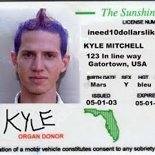 Dear DMV, I hate you. Love, Kyle.