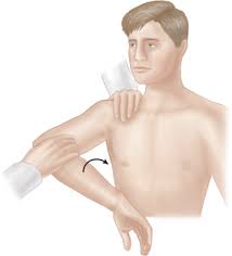 Image result for Shoulder Apprehension Test