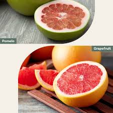 Image result for Grapefruit