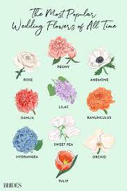Lilies have a large flower head; The 10 Most Popular Flowers For Weddings Popular Flowers Most Popular Flowers Spring Wedding Flowers