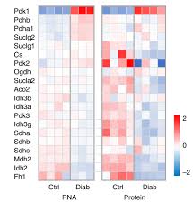 Image result for bioinformatics heatmap