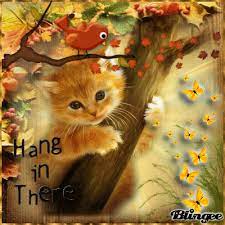Hang In There Kitten Adorable Kitten Kitten Art Kitten