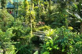 One can reach here by kuala lumpur offers many striking places that are drenched in nature's bounty, to visitors. Kl Butterfly Park Visionkl