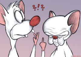 Check spelling or type a new query. Pinky And The Brain By Matan Kohn Media Culture Cartoon Toonpool