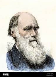 Charles darwin hi-res stock photography and images