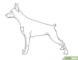 4 Ways To Draw A Dog Wikihow From furry dog and greyhounds to puppies, poodles and dalmatians, we can teach you how to draw all kinds of pooches and make them come alive on paper. 4 ways to draw a dog wikihow