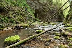 Sunt delimitați la nord de râul barcău, la sud de râul mureș, la vest de dealurile și câmpia de vest. Traseu Turistic In Cheile Galbenei Muntii Apuseni Travelguideromania
