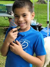 Frederick Maryland and Surrounding Area Pets