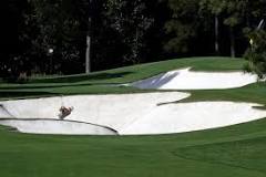 Image result