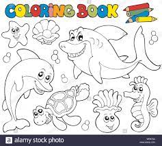 Tus hijos podrán reconocer a estos extraordinarios animales marinos con este dibujo para imprimir y colorear de un tiburón. Imagenes De Animales Acuaticos Para Colorear