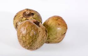 Image result for Annona reticulata