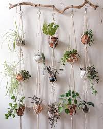 Check spelling or type a new query. Plant Wall Ideas Popsugar Home