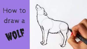 Add more details on the body of the wolf sketch. Beginners How To Draw A Wolf Youtube