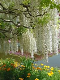 Gartner Der Liebe Garten Dekoration Beaux Jardins Belles Fleurs Belle Nature