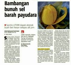 Beberapa jenis buah dapat dimakan, namun ada juga yang tidak dapat dimakan karena memiliki. Buah Bambangan Sabah 1kg Minimum 3 Order Shopee Malaysia