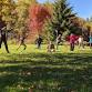 Herb and Yoga Walk