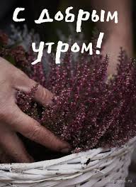 однажды рискнув можно остаться счастливым на всю жизнь цитата Dobroe Utro Prikolnye Kartinki V 2020 G Dobroe Utro Kartinki Zhizn