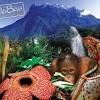 Rasuah jabatan air negeri sabah: 1