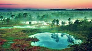 Choose from hundreds of free 1920x1080 wallpapers. 4k Nature Wallpapers 60 Best 4k Nature Wallpapers And Images On Wallpaperchat