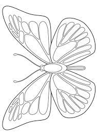 Butterfly outline morpho butterfly blue morpho butterfly template butterfly embroidery embroidery patterns butterfly mandala colouring pages coloring books. Print Coloring Image Momjunction Butterfly Coloring Page Butterfly Art Drawing Blue Morpho Butterfly