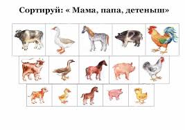 дидактические карточки домашние животные и их детеныши картинки для Sortiruj Mama Papa Detenysh Zapis Polzovatelya Savickaya Tatyana Fatsia0 Fatsia0 V Dnevnike Babyblog Ru Zhivotnye Detenyshi Domashnee Zhivotnoe