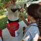 2026 Science Adventure Camp — Eaton CD