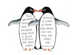 Penguins are a very cute birds who walk upright. Pin On Things I 3