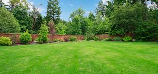 Many dog owners enjoy watching their dogs run around the backyard, but you immediately regret it after seeing them dig up your favorite plants. Landscape Themes Kid Child Friendly Fivestar Landscape Sacramento Area Landscape Design And Landscaping