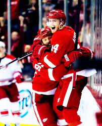 Pin By Karen Boersma On Hockey Hockey Hockey Detroit Red Wings Red Wings Hockey Detroit Red Wings Hockey