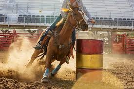 Owner of Horse Allegedly Stabbed by Teen Reveals Suspect’s History of ‘Comments and Attempts to Meet’