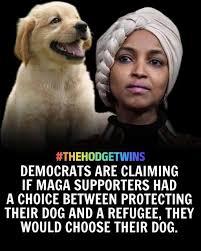 DOGS apparently matter more to Trump supporters than REFUGEES, Democrats  claim — saying supporters are too embarrassed to admit it.