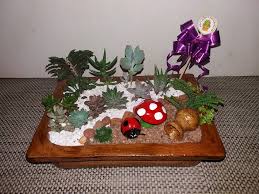 Cactus y suculentas └ plantas y esquejes └ plantas, semillas y bulbos └ artículos para terraza y jardín └ casa, jardín y bricolaje todas las categorías arte y antigüedades artesanía y manualidades bebés belleza y salud cámaras y fotografía casa, jardín y bricolaje cine. Mini Jardines De Suculentas Mini Cactus Suculentas Py Facebook