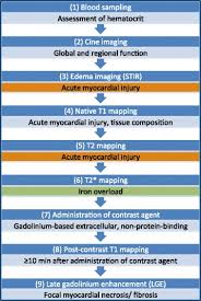 We have four new weapons, a brand new event map. Clinical Recommendations For Cardiovascular Magnetic Resonance Mapping Of T1 T2 T2 And Extracellular Volume A Consensus Statement By The Society For Cardiovascular Magnetic Resonance Scmr Endorsed By The European Association For Cardiovascular