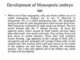 Types Of Embryosac | Ppt