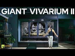 I Built My Next Giant Vivarium II and It's Ready For Life