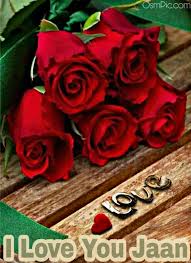 50 Most Beautiful I Love You Roses Images Pics Of Love Roses For Lovers This is the main reason for making i love you images with roses. beautiful i love you roses images pics
