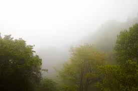 quiero desvincular mi correo de hotmail de mi cuenta de gmail, que hago?