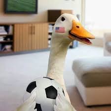 Aflac Duck Soccer World Series Usa Vs Portugal Aflac Duck Aflac Duck