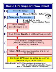 Arc_basic_life_support Basic Life Support Flow Chart D