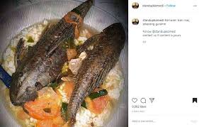 Lauk pauk pendamping sayur sop. Ngeri Ngeri Sedap Orang Ini Makan Nasi Sayur Pakai Lauk Ikan Sapu Sapu