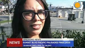 SUNSET BLVD PACIFIC PALISADES FIRES 2025 REBUILD PROCESS