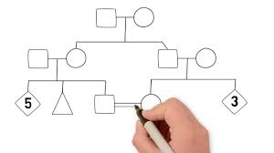 Printable family tree templates online. How To Draw A Family Tree Part 1 Introduction Youtube