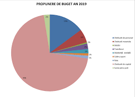 Capitolul idispoziţii generale articolul 1 (1) prezenta lege stabileşte regulile procedurale minimale aplicabile pentru asigurarea transparenţei decizionale în. Dezbateri Publice PrimÄria Negresti Oas
