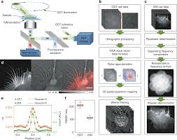 We did not find results for: Super Resolution Fluorescence Assisted Diffraction Computational Tomography Reveals The Three Dimensional Landscape Of The Cellular Organelle Interactome Light Science Applications