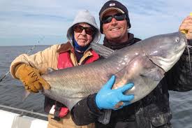 10 Biggest Catfish World Records Of All Time