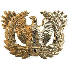 Army branch insignia is similar to the line officer and staff corps officer devices of the u.s. Army Officer Branch Warrant Army Officer Eagle Bradley S Surplus
