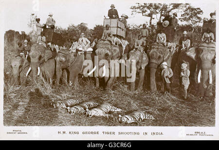King george v tiger shooting in nepal. hi-res stock photography and images - Alamy