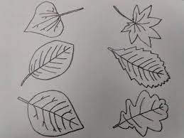رسم رسم ورق شجر بالرصاص بسهولة اكتر من 5 انواع youtube geometric tattoo geometric drawings