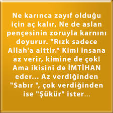 Ne Karinca Zayif Oldugu Icin Ac Kalir Ne De Aslan Pencesinin Zoruyla Karnini Doyurur Rizk Sadece Allah A Aittir Kimi Insana Az Veri Guzel Soz Dualar Aslan